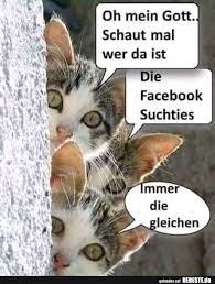 Oh Mein Gott Schaut Mal Wer Da Ist Lustige Bilder Spruche Witze Echt Lustig