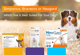Nexgard spectra (afoxolaner/mil bemycin oxime) ema/704200/2014 page 2/3 between nerve cells (neurotransmission) in the nervous system of parasites, resulting in paralysis an d Simparica Bravecto Or Nexgard Which One Is Best Suited For Your Dog American Dog Your Dog Brown Dog Tick