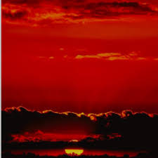 All orders are custom made and most ship worldwide within 24 hours. Weekly Aesthetic Red Skies Ootd Korean Fashion Amino