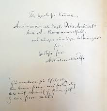 Image result for Oldenlandia verrucitesta