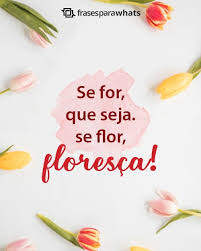 Feliz dia dos avós, porque são vocês que acariciam o coração de seus netos com a ternura de seus olhos. 999 Frases Para Status Curtas E Criativas Para Whatsapp Frases Para Whats