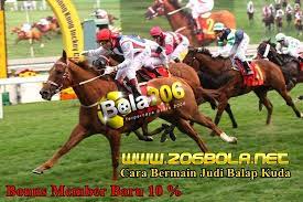 Cara Bermain Pacuan Kuda Atau Balap Kuda S128 Horses Animals