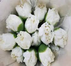 What a wonderful gift then to give to a child! China High Quality Wonderful Gifts Fresh Cut Flower White Carnation For Interior Decoration China Flowers And Wedding Flower Price