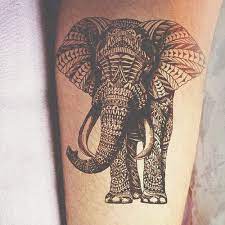 In addition to the characteristics that we have just mentioned, the elephant is. 70 Best Elephant Tattoo Designs And Ideas Tattoosme