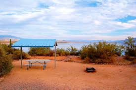 Check spelling or type a new query. Tonto National Forest Cholla Campground