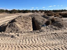 Last picture with the Spider Tree before the winds took it down.