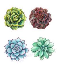 Maybe you would like to learn more about one of these? 900 Flowers To Trace Ideas Embroidery Patterns To Trace Flower Drawing