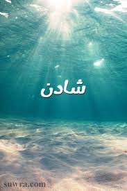 صور اسم شادن صورة