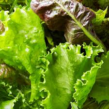 The cdc also recommends using your hands to wipe the leaves to help get rid of soil or organic debris. 18 Types Of Lettuce And The Best Ways To Eat Each One Epicurious