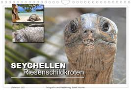 Die republik seychellen, auch nur die seychellen ist ein inselstaat im indischen ozean. Seychellen Riesenschildkroten Wandkalender 2021 Din A4 Quer Urzeitliche Sympathietrager Monatskalender 14 Seiten Calvendo Tiere Hocker Frank Amazon De Bucher