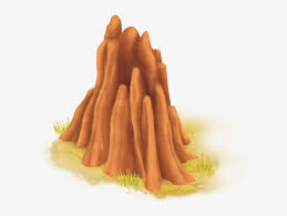 They will flower all summer as long as you keep pulling the dead. Termite Mound Termite Mound Png Png Image Transparent Png Free Download On Seekpng