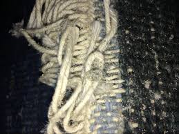 Motten fühlen sich auch durch häufiges begehen, staubsaugen und helligkeit gestört. Motten Im Teppich Putzen Schadlinge Teppichreinigung