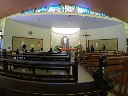 Follow pet care hospital (@petcarehospitalindia) to never miss photos and videos they post. The 10 Closest Hotels To Shrine Of Infant Jesus Nashik Tripadvisor Find Hotels Near Shrine Of Infant Jesus Nashik