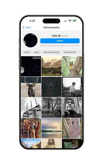 Pixelfed - Decentralized social media