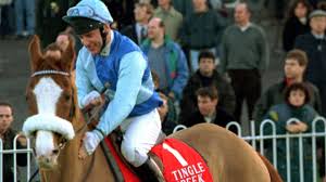 Image result for Desert Orchid Wiki