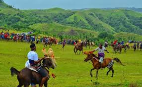 11 Tempat Wisata Sumba, Keindahan Tersembunyi di Pulau Para Pendekar  Berkuda.
