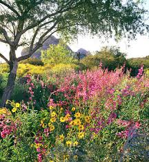 If not, navigate back through the checkout process and try we have 17 desert botanical garden coupons for you to consider including 17 promo codes and 0 deals in february 2021. Botanical Garden Posters