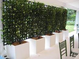 The screening process is just as important as the crushing itself. Privacy With Plants The Garden Glove Privacy Plants Outdoor Privacy Privacy Landscaping