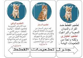 العيادة الطبية البيطرية في ضاحية قدسي ا siaran facebook