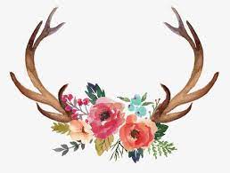 Horn Flowers Hand Painted Horn Flowers Png Transparent Clipart Image And Psd File For Free Download Painted Antlers Floral Antlers Watercolor Deer
