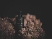 Gorgon™ Perfume Oil Natural Botanical Perfume With Burnt Resins ...