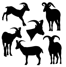 517 Goat Jumping Illustrations Clip Art Istock
