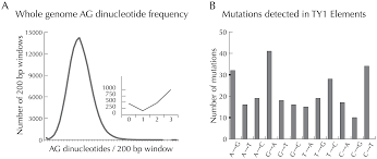 Let's say that a person identified as a straight man before they realized that they needed to transition. Plos Pathogens Clonality Despite Sex The Evolution Of Host Associated Sexual Neighborhoods In The Pathogenic Fungus Penicillium Marneffei