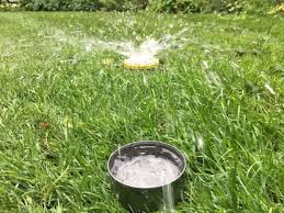 What is the best time of day to water a lawn? Watering The Garden Sprinklers Soaker Hoses And Tuna Cans Chicago Tribune