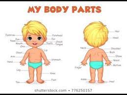 Kata tak nak other contents: Body Parts In Tamil English Youtube