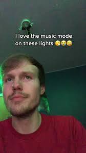 Govee Lights 49ers Theme