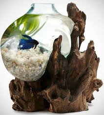 9fb686da10bcf1f88e831f026ca4893d Jpg 577 640 Piks Cool Fish Tanks Fish Tank Betta Fish Tank