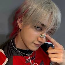 If i had skzoo funds I totally would 😭😭😭