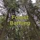 Forest Bathing introductory session event image