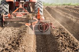 Trator Preparo Do Solo Trabalhando Na Agricultura Campo Fotomural Fotomurais Arar Grade Aravel Myloview Com Br