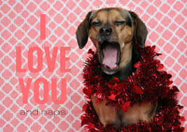 Printable valentine's day cards for dogs and dog lovers. Printable Valentine S Day Cards For Dogs And Dog Lovers