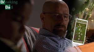 What Useful Fact or Skill Did You Learn From TV?