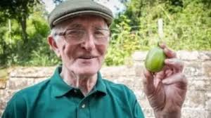 Egton Bridge: Gooseberry heavyweights battle it out at annual show