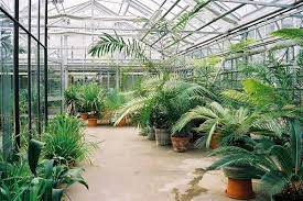 Der botanische garten der universität leipzig vereint auf einer fläche von rund drei hektar pflanzen aus den verschiedensten botanischer garten der universität leipzig linnéstraße 1 04103 leipzig. Mdm Online Location Guide