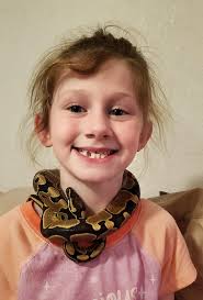 New guinea pig owners seeking advice