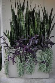 Containers Traditional Houzz Columbus Mccullough S Landscape Nursery Plants Portland Garden Garden Containers