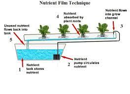 Hydroponic Growing Systems Addloes