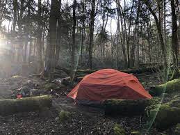 I Find The Most Sanity When Lost In The Forest Camping Hiking Outdoors Tent Outdoor Caravan Campsite Travel F Best Camping Gear Camping Near Me Forest
