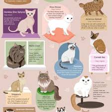 We did not find results for: Jenis Jenis Baka Kucing