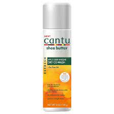 We Rounded Up Our Fave Dry Shampoos For Natural Hair And They Re All Under 20 Hellogiggles