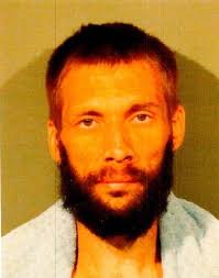 Lincoln area arsonist sentenced to 10 years in prison