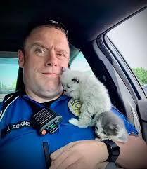 Rating from 0 to 10🎠💖