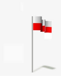 Almost files can be used for commercial. Poland Flag Icon Poland Circle Flag Png Transparent Png Transparent Png Image Pngitem