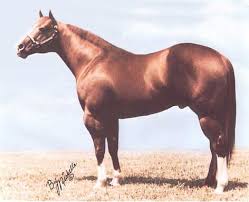 Hattie was born on december 24 1880, in. Pin On Sires Of Significance