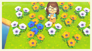 The perfect filler for your diy floral arrangements and w. Whippy On Twitter Gonna Make A Master Post For All The Flower Hybrid Info I Discover Since Nothings Online Yet Animalcrossing Acnh Nintendoswitch Https T Co B5qbnl3zq3