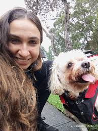 Dog walker and sitter needed for anxious chihuahua in Croydon Park